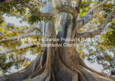 Exclusive Insurance Products Built for Exceptional Clients